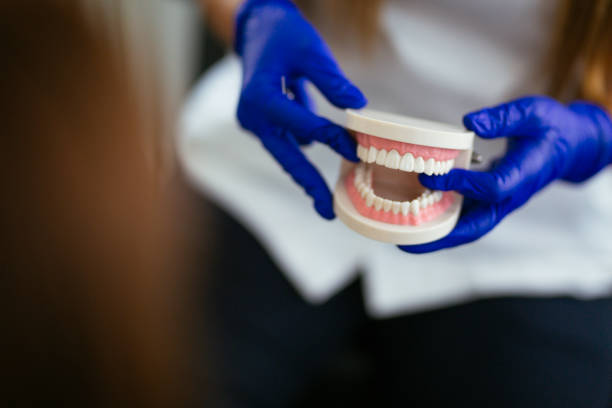 Reliable Colorado Springs, CO  Holistic Dental Services Solutions